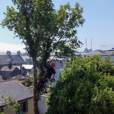View of Dublin skyline with chimney